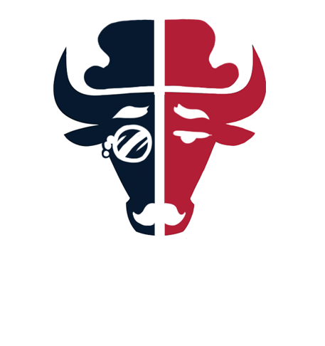 Houston Texans British Gentleman Logo fabric transfer